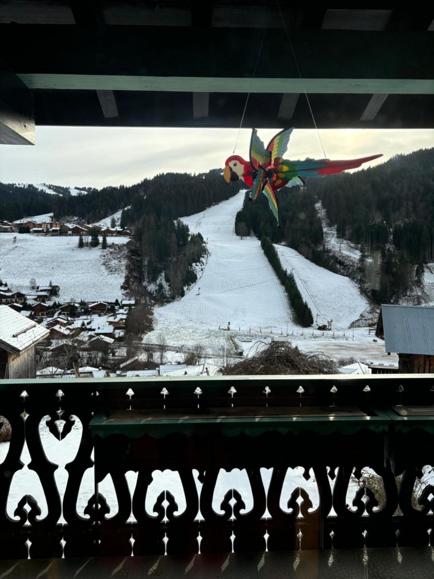 Fleur Des Alpes *